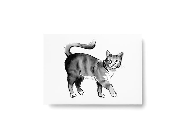 Postkarte "Katze" | Teemu Järvi | A6