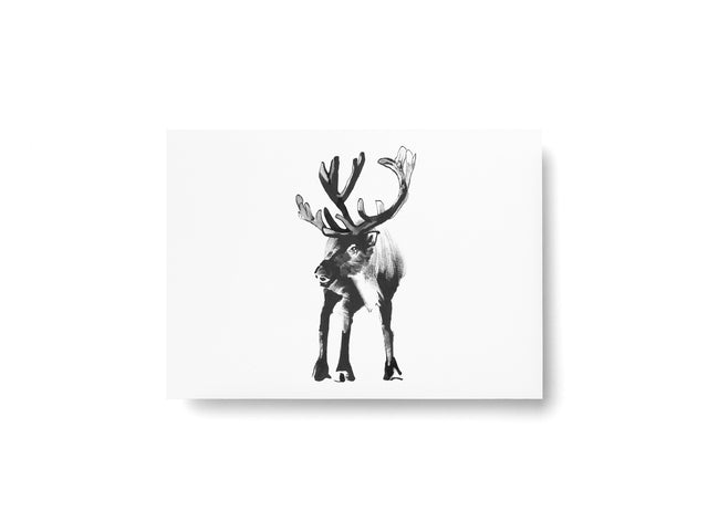 Postkarte "Rentier" | Teemu Järvi | A6