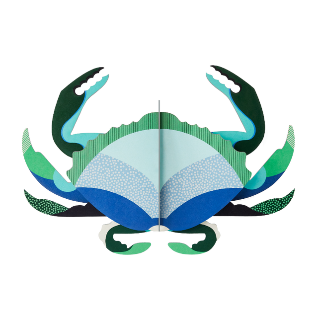 Wanddeko AQUAMARINE CRAB | Bunte Krabbe aus Karton für die Wand |