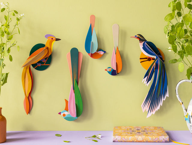 Zwei bunte Paradiesvögel aus Karton für die Wand | MUNA