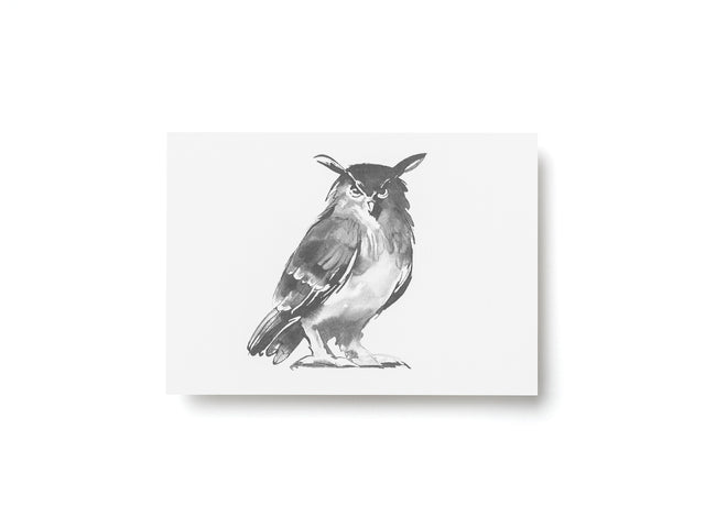 Postkarte "Eule" | Teemu Järvi | A6