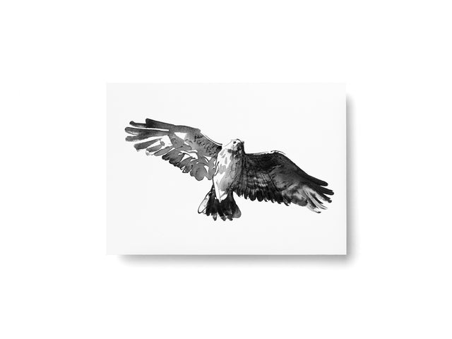 Postkarte "Bussard" | Teemu Järvi | A6