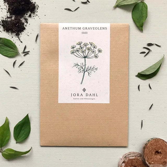 Samen für Dill | ANETHUM GRAVEOLENS