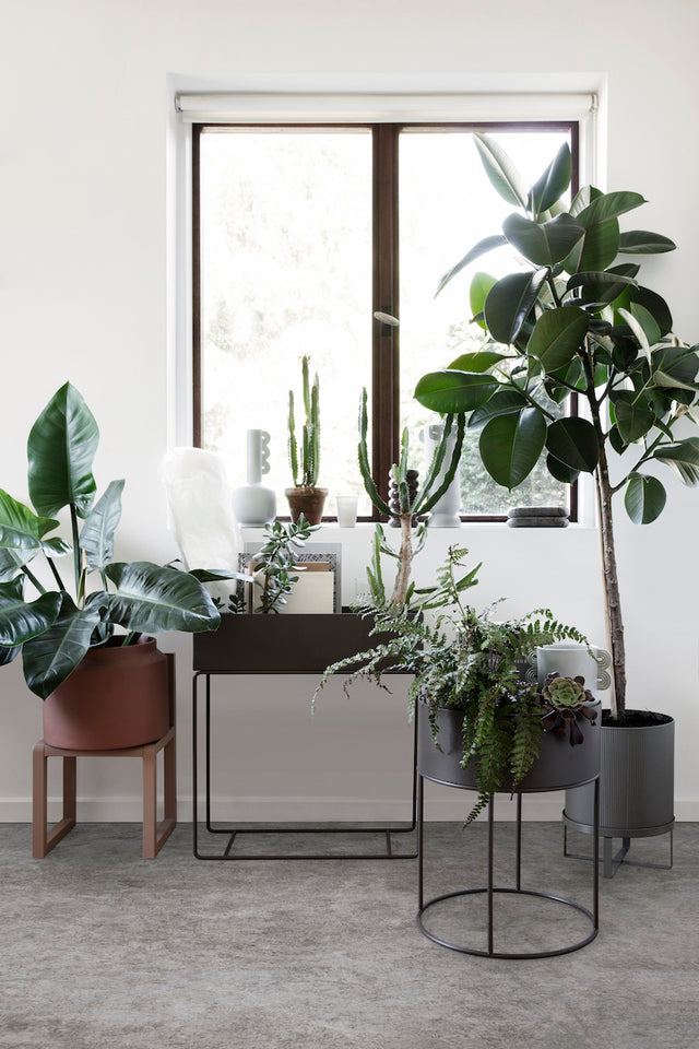 Plant Box RUND | ferm LIVING