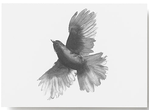 Postkarte "Siberian Jay – Der Unglückshäher" | Teemu Järvi | A6