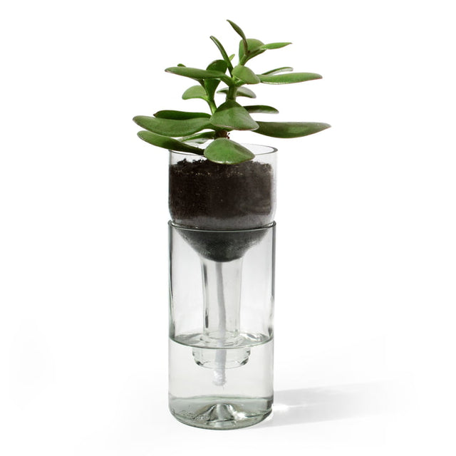 Selbstwässernder Blumentopf aus einer Weinflasche | Side by Side Design